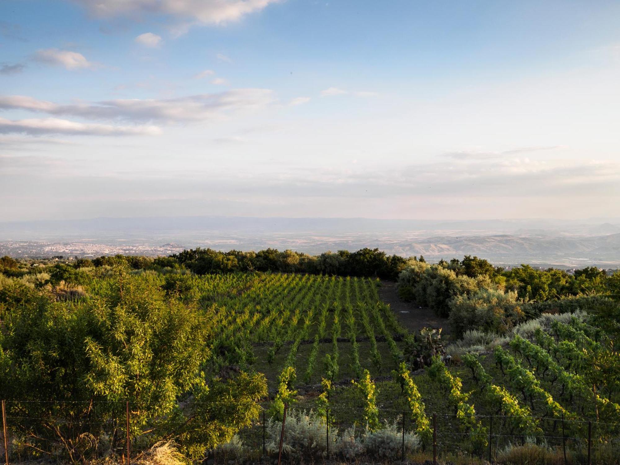 Podere Dell'Etna Segreta - Essential Nature Hotel & Glamping Biancavilla Zewnętrze zdjęcie