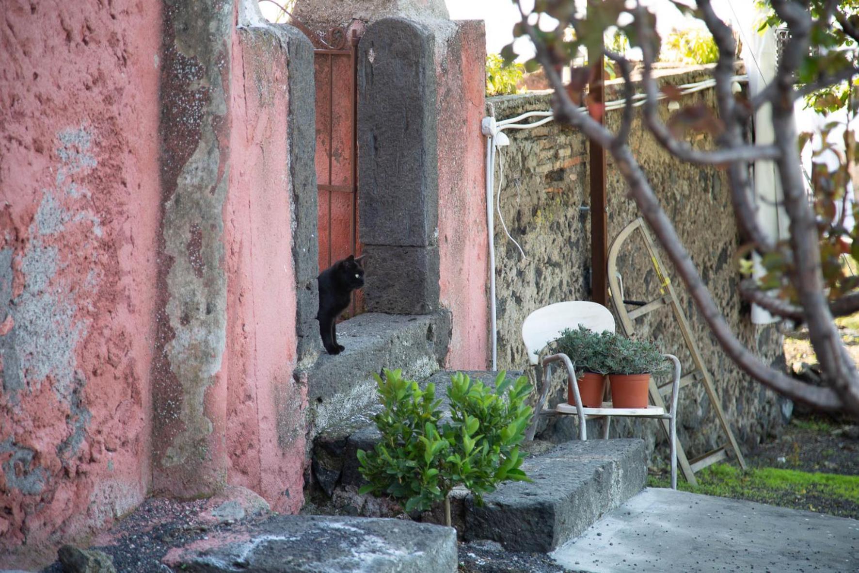 Podere Dell'Etna Segreta - Essential Nature Hotel & Glamping Biancavilla Zewnętrze zdjęcie